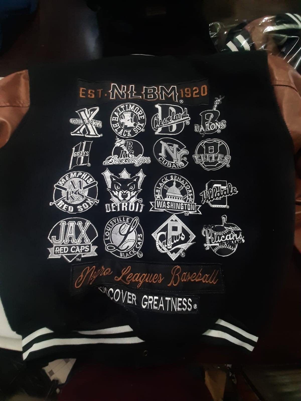 Close-up of team logo embroidery on the back of the Negro League Baseball S9 jacket